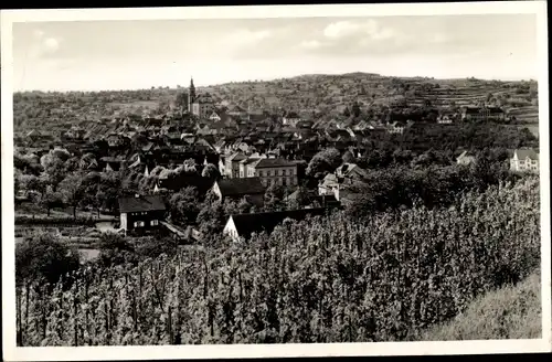 Ak Ettenheim in Baden, Blick von der Brossmerhöhe