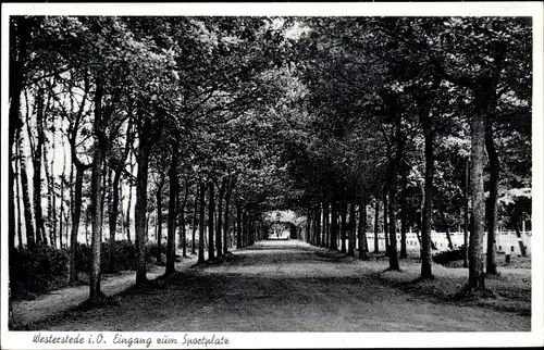 Ak Westerstede in Oldenburg Ammerland, Eingang zum Sportplatz