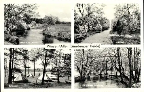 Ak Winsen an der Aller, Oertze Partie, Waldweg, Zeltlager