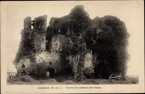 Ak Andrezé Maine et Loire, Ruines du chateau des Haies