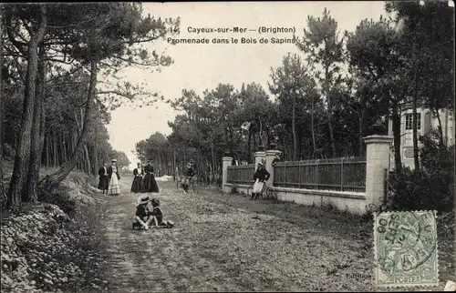 Ak Cayeux sur Mer Somme, Promenade dans les Bois de Sapins