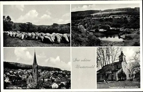 Ak Wilsenroth Dornburg im Westerwald Hessen, Blasiuskapelle, Schafherde, See, Stadt