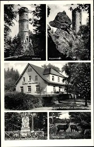 Ak Kallweiler Bad Sobernheim an der Nahe, Koppenstein, Alteburg, Hirsche, Haus Kallweiler