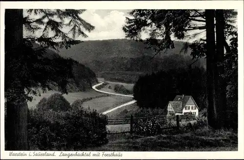 Ak Warstein im Sauerland, Langenbachtal mit Forsthaus