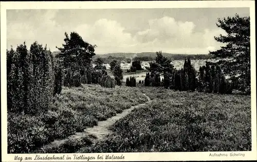 Ak Tietlingen Walsrode im Heidekreis, Weg am Lönsdenkmal