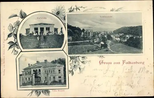 Ak Falkenberg in der Mark, Karlsburg, Villa Brandt, Blick auf den Ort