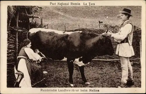 Ak Rumänien, Rumänische Landbewohner beim Melken
