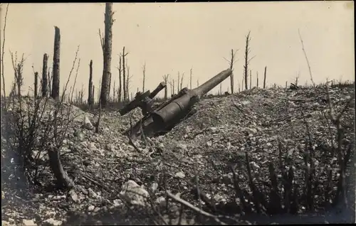 Foto Ak Zerstörtes Geschütz umgeben von Baumstümpfen, I WK