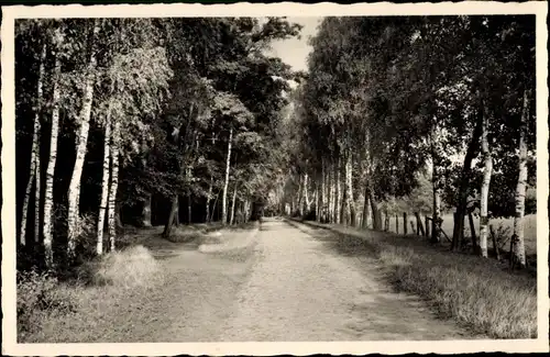 Ak Pritzwalk in der Prignitz, Hainholzpromenade