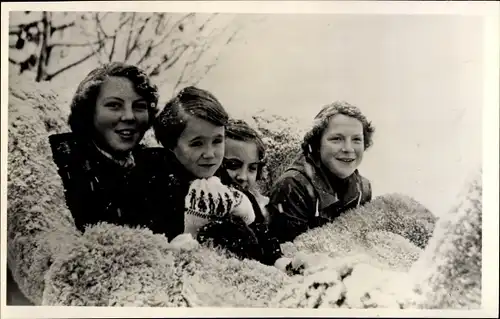 Ak Niederländischer Adel, Prinzessinnen Beatrix, Irene, Margriet und Marie Christina, 1953