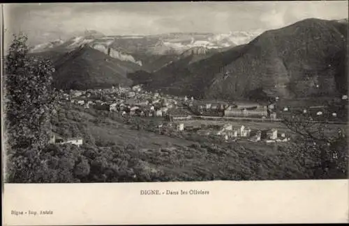 Ak Digne Alpes de Haute Provence, Dans les Oliviers