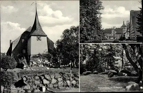 Ak Cadenberge Niedersachsen, Kirche, Kreisberufsschule, Mühlenberg im Gutspark