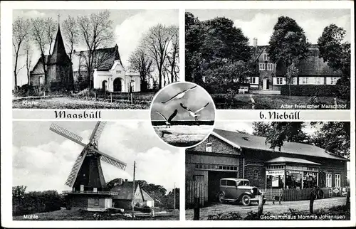 Ak Maasbüll in Schleswig Holstein, Kirche, Marschhof, Geschäft, Windmühle, Möwen