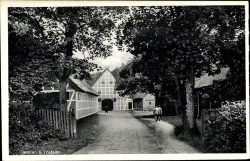 Ak Quellen Wistedt in Niedersachsen, Hof, Fachwerkhaus