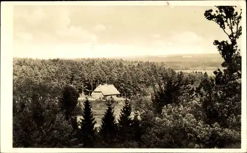 Ak Ollsen Hanstedt Niedersachsen, Fachwerkhaus mit Reetdach, Wald