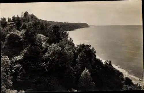 Ak Swetlogorsk Rauschen Ostpreußen, Blick aufs Meer, Wald