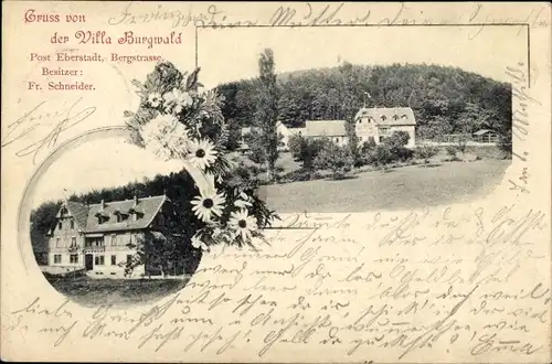 Ak Eberstadt Darmstadt in Hessen, Villa Burgwald