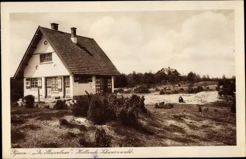 Ak Rijssen Overijssel Niederlande, De Stoovelaar, Hollands Schwarzwald