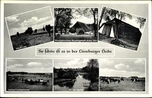 Ak Lüneburger Heide, Bauerngehöft, Schafstall, Oertzepartie, Heidschnuckenherde, Wacholder