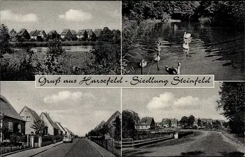 Ak Harsefeld in Niedersachsen, Siedlung Steinfeld, Wasserpartie, Enten, Straßenpartie, Ortspartie