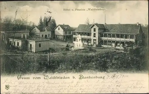 Ak Blankenburg am Harz, Hotel und Pension Waldfrieden