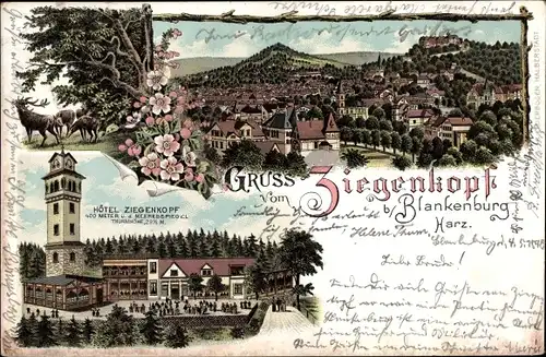 Litho Blankenburg am Harz, Hotel Ziegenkopf, Blick auf den Ort