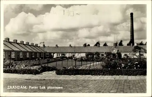 Ak Zaandam Zaanstad Nordholland, Pieter Lak plantsoen