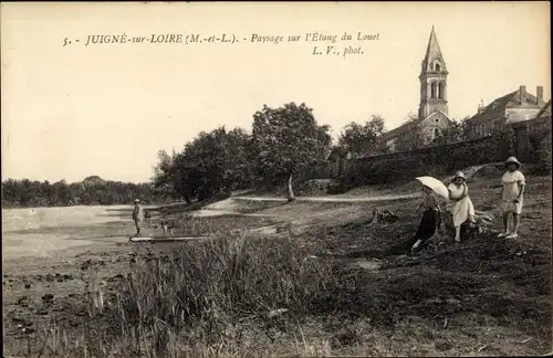 Ak Juigné sur Loire Maine et Loire, Paysage sur l'Etang du Louet