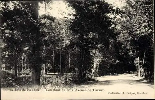 Ak Meudon Hauts de Seine, Carrefour du Bois, Avenue de Trivaux