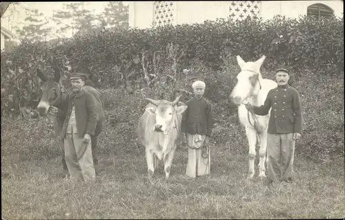 Ak Gruppenbild der Vietnamesen, Pferd, Kuh