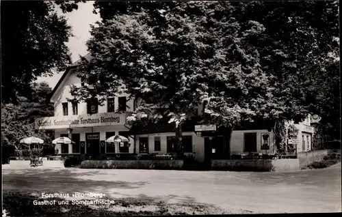 Ak Blomberg in Lippe, Forsthaus Blomberg, Bes. Paul Düllmann