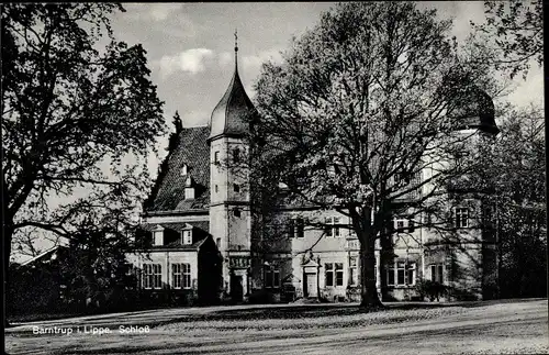 Ak Barntrup in Lippe, Schloss