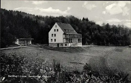 Ak Barntrup in Lippe, Sanatorium Herborn