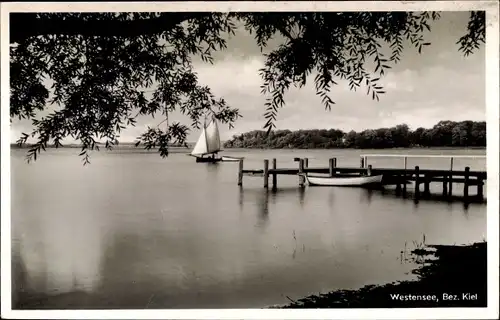 Ak Westensee in Schleswig Holstein, Seeblick, Uferpartie, Steg, Segelboot