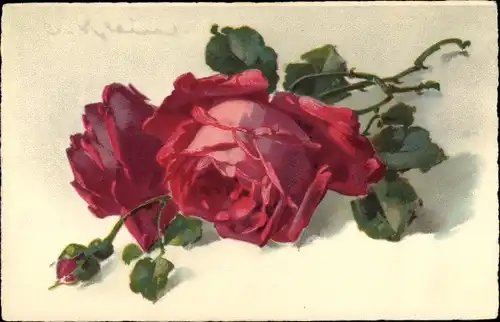 Künstler Ak Klein, Catharina, Rote Rosen