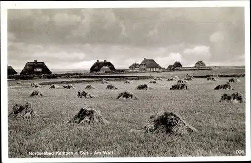 Ak Kampen auf Sylt, Am Watt, Reetdachhäuser, Feld