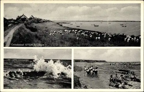 Ak Stein in Schleswig Holstein, Brandung, Strandleben