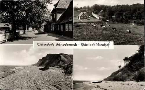 Ak Dänisch Nienhof Schwedeneck in Schleswig Holstein, Klippenpartie, Kühe, Pension Zur Schmiede