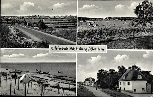 Ak Ostseebad Schönberg in Holstein, Boote, Kühe, Ortspartie, Panorama