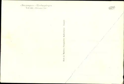 Ak Ringsted Dänemark, Koerehave Landbrugs-og Husholdningsskole