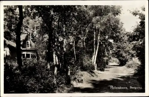 Ak Hellendoorn Overijssel, Bergweg