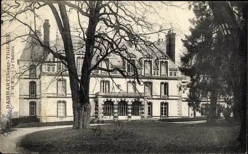 Ak Dammartin sur Tigeaux Seine et Marne, Le Chateau