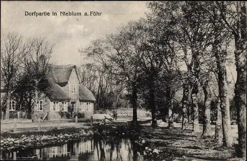 Ak Nieblum Insel Föhr in Nordfriesland, Dorfpartie