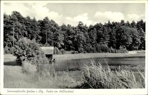 Ak Gudow im Herzogtum Lauenburg, Partie im Hellbachtal