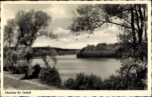 Ak Seedorf in Lauenburg, Blick auf den Schaalsee