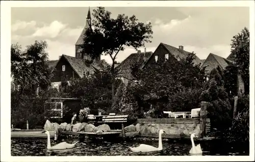 Ak Mölln in Schleswig Holstein, Wasserpartie bei Greves Gasthof mit Schwäne