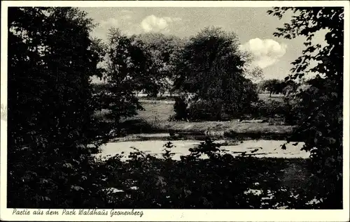 Ak Gronenberg Scharbeutz in Ostholstein, Partie aus dem Park