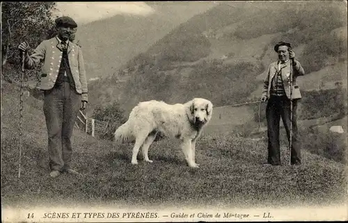 Ak Scenes et Types des Pyrenees, Guides et Chien de Montagne