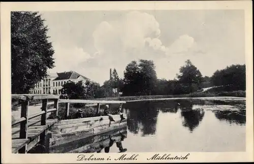Ak Bad Doberan in Mecklenburg, Mühlenteich