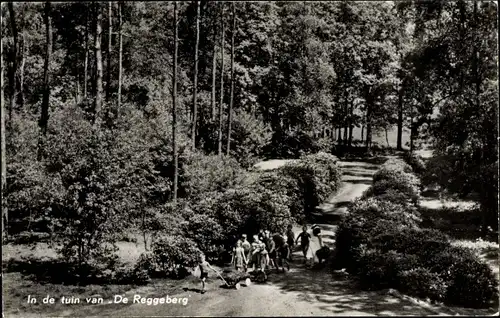 Ak Hellendoorn Overijssel, Koloniehuis De Reggeberg, Kinder, Waldwanderung